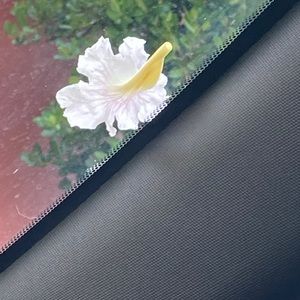 Meet your Posher, Katherine